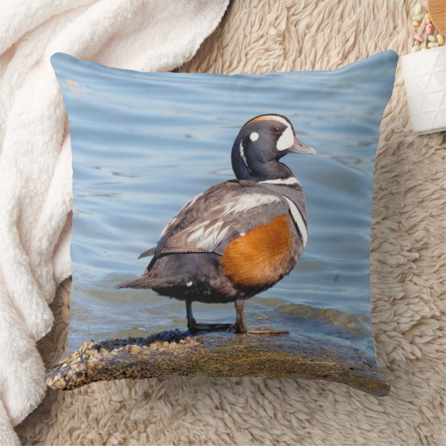 BeSnyn Harlequin Anka på Beach Shoreline Kudde (Filt)