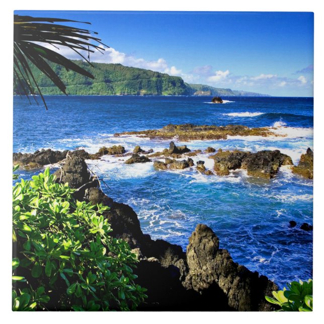 BeSnyn Hawaii Kakelplatta (Framsidan)