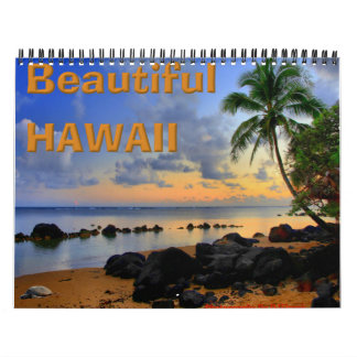 BeSnyn Hawaii Kalender
