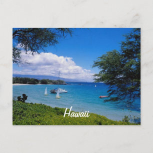 BeSnyn Hawaii Vykort