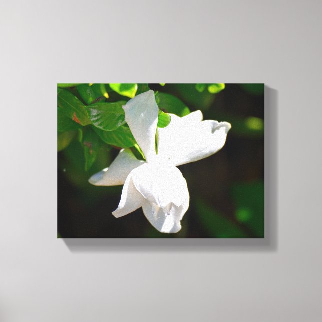 BeSnyval Gardenia Flower Canvastryck (Framsida)