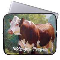 BeSnyval Hereford Bull