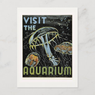 Besök Aquarium - WPA Poster geléer, maneter Vykort