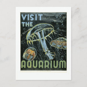Besök Aquarium - WPA-Poster - Vykort