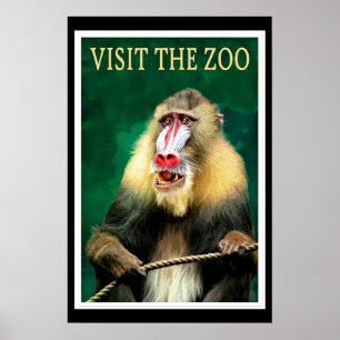 Besök Djurparken, vintage reseaffisch Poster