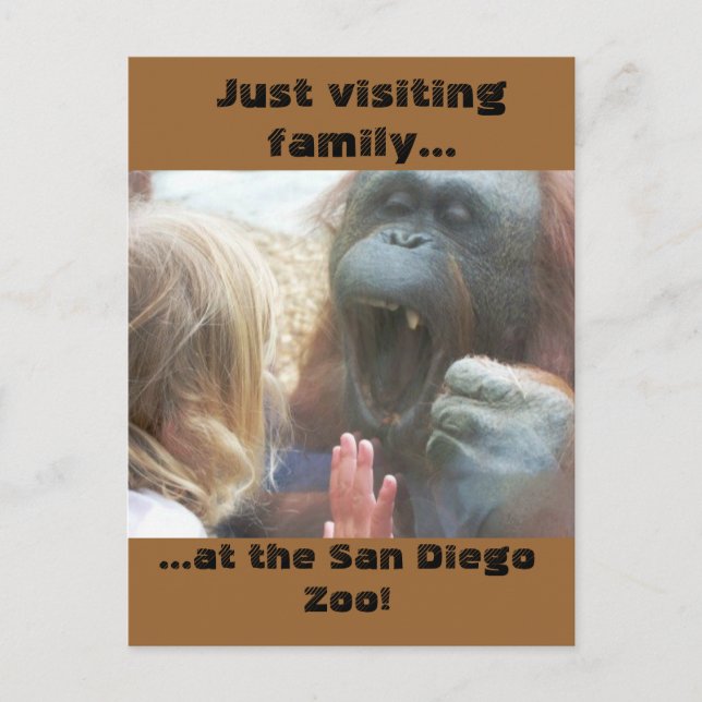 Besök familjen på vykortet San Diego Zoo Vykort (Framsida)