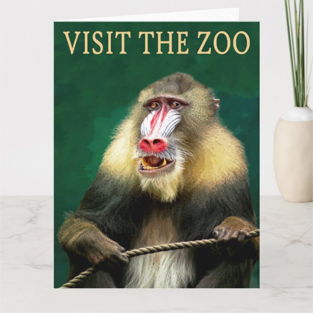 Besök Mandrilln På Zoo Kort (Framsida)
