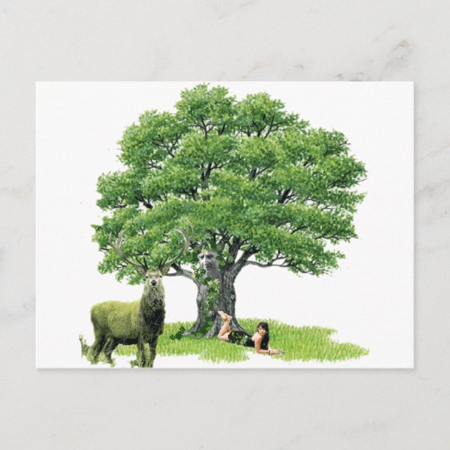 Besök med Far Oak Vykort (Framsida)