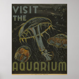 Besök WPA-Poster för Aquarium Vintage Poster