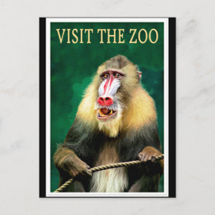Besök Zoo, poster vintage resor Vykort
