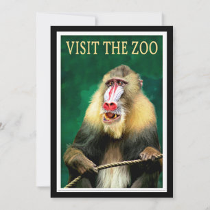 Besök Zoo, vintage resor poster