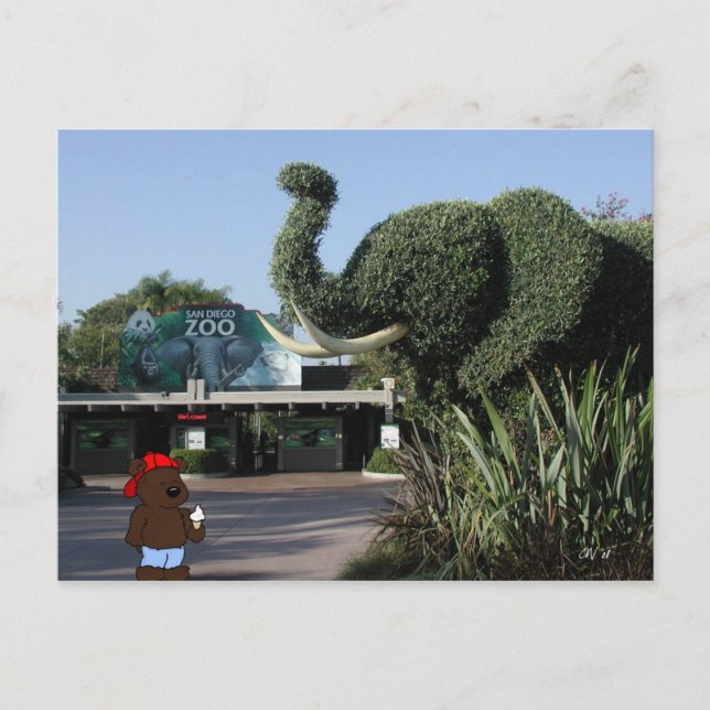 "Besöker björnen den familj" CA-vykortet Vykort (Framsida)