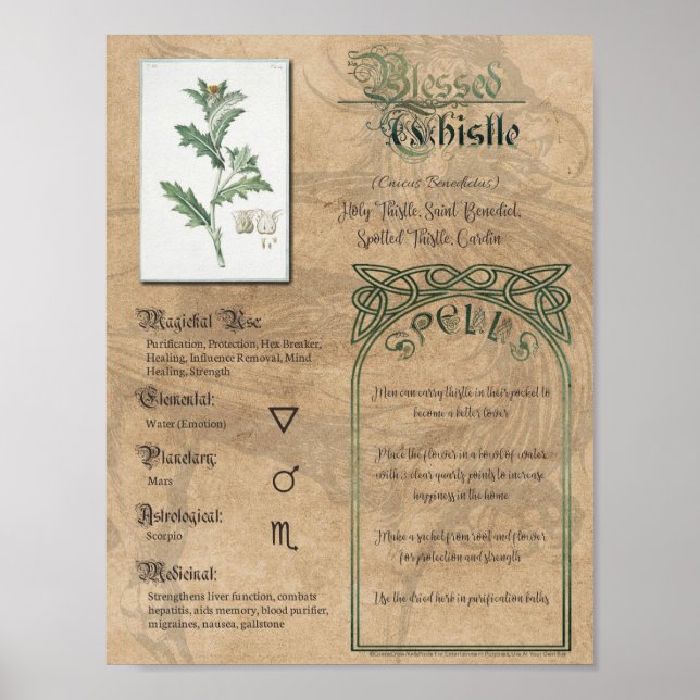 Besökt Thistle Herbal Bok i Shadows Pagan Wicca Poster (Framsidan)