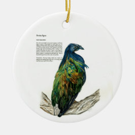Bespoke Hand målade Skriv ut Bird Ornament