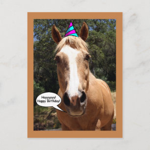 Bess the Horse Vykort