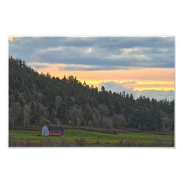 Bessner Barn Guemes Island Fototryck