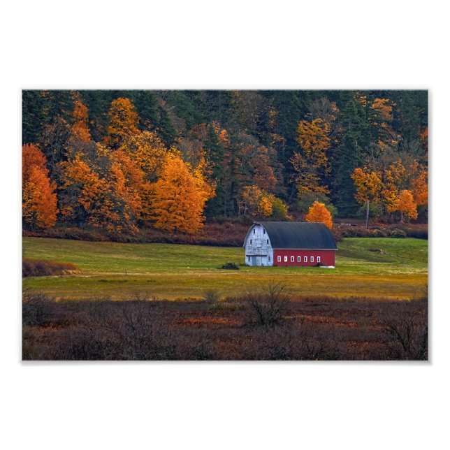 Bessner Barn Guemes Island Fototryck (Framsidan)
