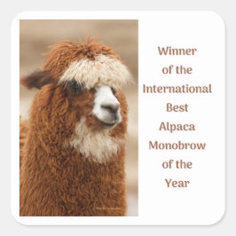 Best Alpaca Monobrow Fyrkantigt Klistermärke