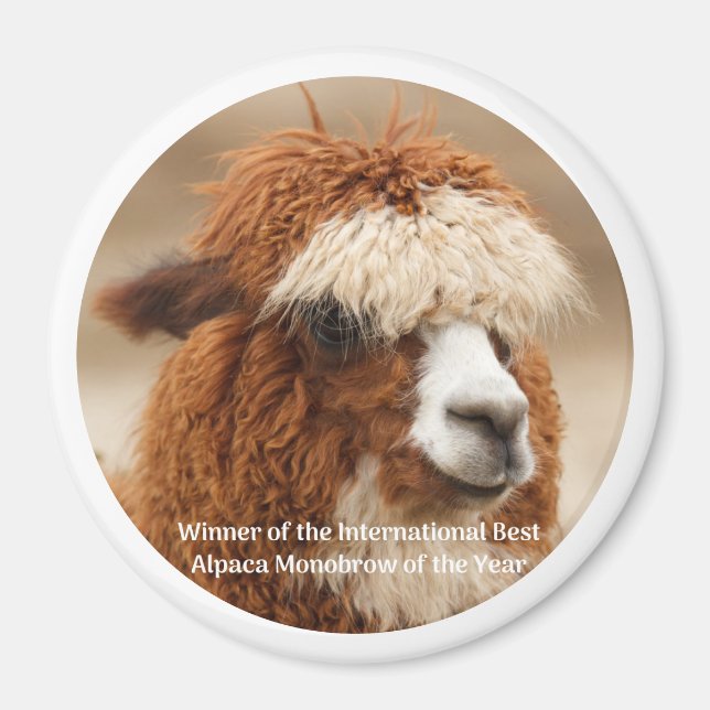 Best Alpaca Monobrow Magnet (Framsidan)