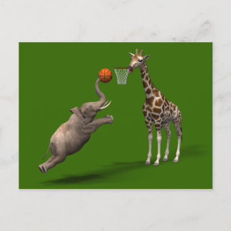 Best Basketball Scorer Vykort