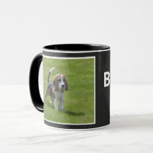 Best Beagle Hund Pappa och Proud Photo Black Coffe