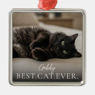 Best Cat Ever Your Pet Name And Photo  Julgransprydnad Metall