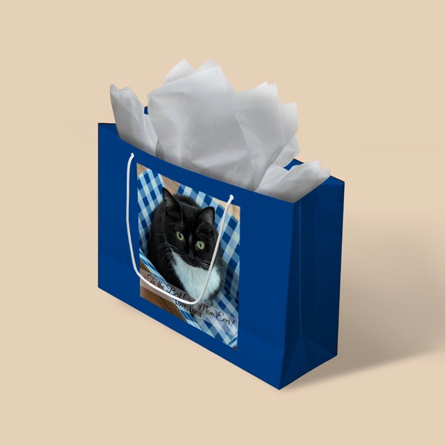 Best Cat Mamma någonsin Photo (Skapare uppladdad)