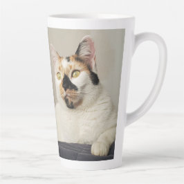 Best Cat Mamma Photo