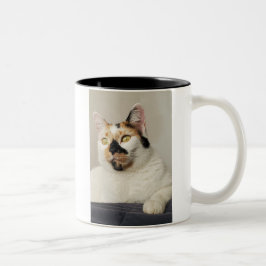 Best Cat Mamma Photo Två-Tonad Mugg