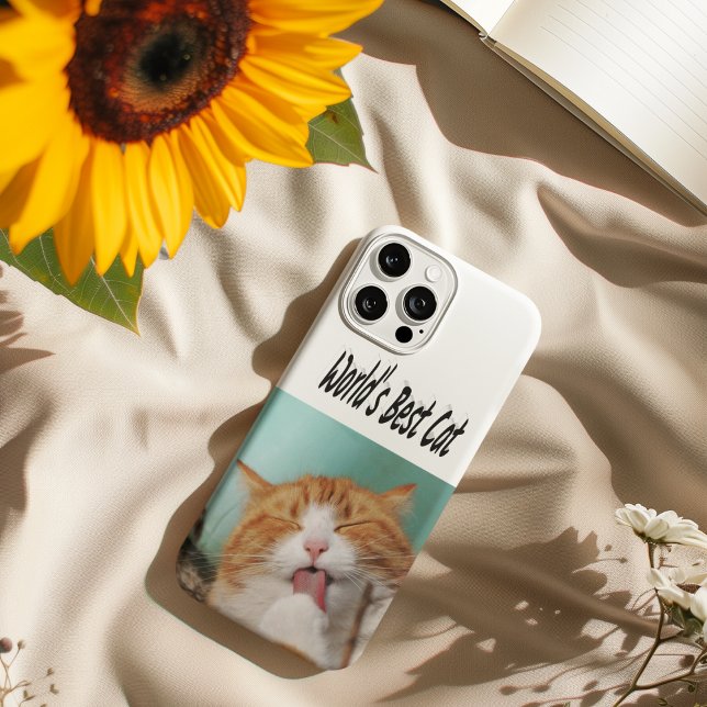Best Cat Photo (Skapare uppladdad)