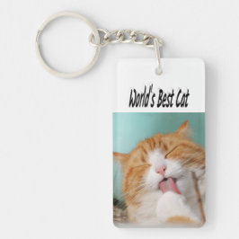 Best Cat Photo