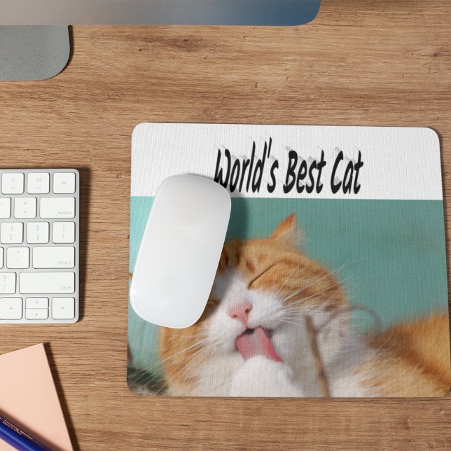 Best Cat Photo Musmatta (Skapare uppladdad)