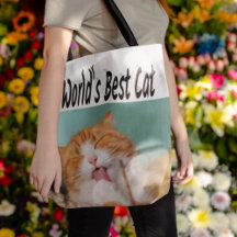 Best Cat Photo