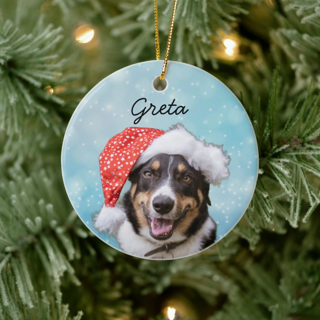 Best Dog Photo Pet Portrait Cat Snow Christmas Julgransprydnad Keramik (Träd)