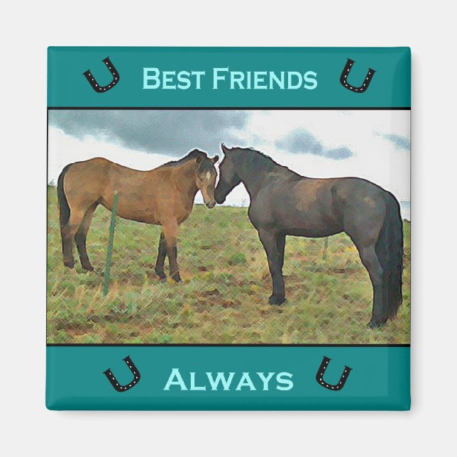 Best Friend Horse magnet (Framsidan)