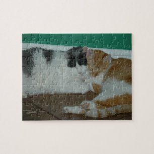 Best Friends Cats Puzzle Pussel