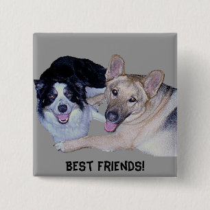 Best Friends Gräns Collie & German Shepherd Knapp