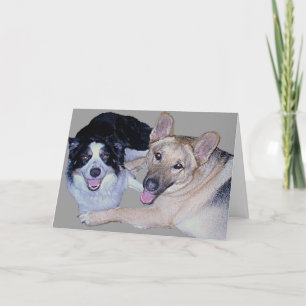 Best Friends Gräns Collie & German Shepherd Kort