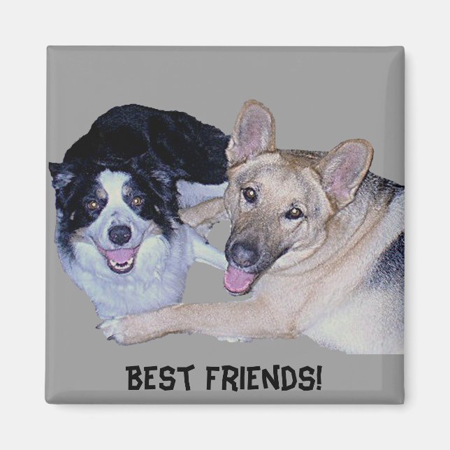 Best Friends Gräns Collie & German Shepherd Magnet (Framsidan)