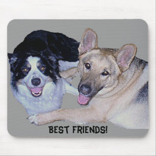 Best Friends Gräns Collie & German Shepherd Musmatta