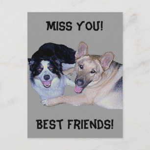 Best Friends Gräns Collie & German Shepherd Vykort