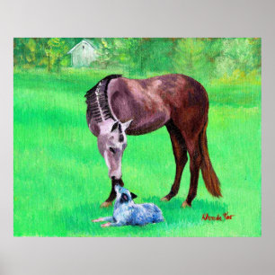 Best Friends Quarter Horse Australian Cattle Hund Poster