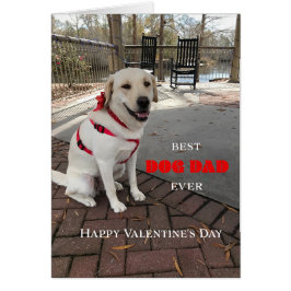 Best Hund Valentine Labrador Cute Hälsningskort