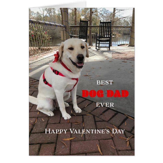 Best Hund Valentine Labrador Cute Hälsningskort (Framsidan)