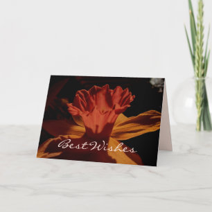 Best Önskemål Daffodil Card Kort