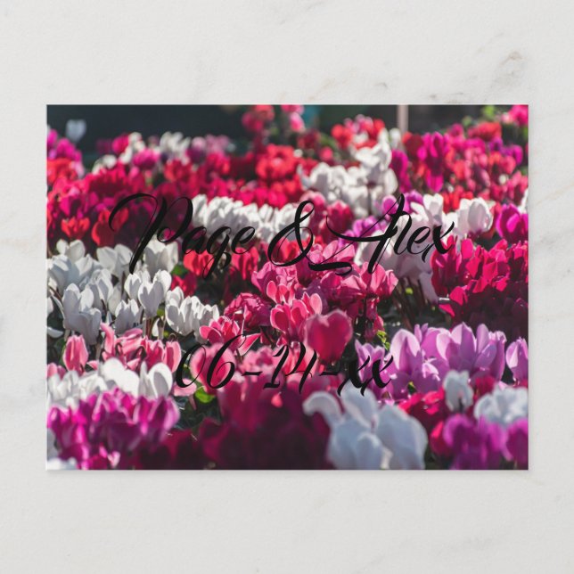 Best Önskemål Newly Weds Bröllop Destiny P Vykort (Framsida)