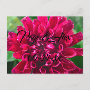 Best Önskemål Newly Weds Bröllop Destiny P Vykort