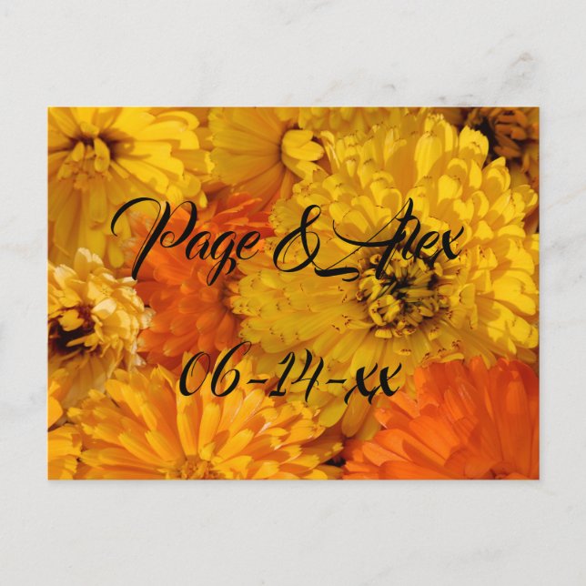 Best Önskemål Newly Weds Bröllop Destiny P Vykort (Framsida)