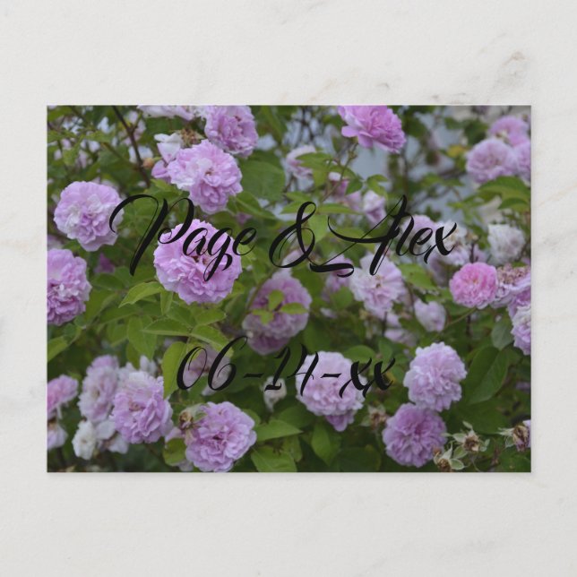 Best Önskemål Newly Weds Bröllop Destiny P Vykort (Framsida)