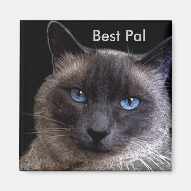 "BEST PAL" siamesisk katt Magnet (Framsidan)